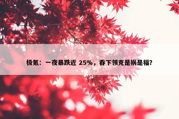 极氪：一夜暴跌近 25%，吞下领克是祸是福？