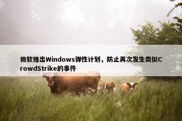 微软推出Windows弹性计划，防止再次发生类似CrowdStrike的事件