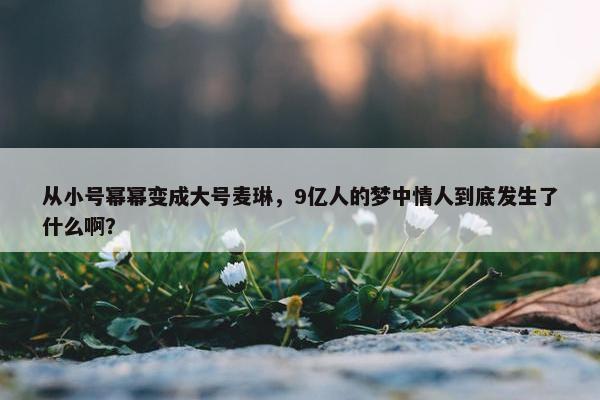 从小号幂幂变成大号麦琳，9亿人的梦中情人到底发生了什么啊？