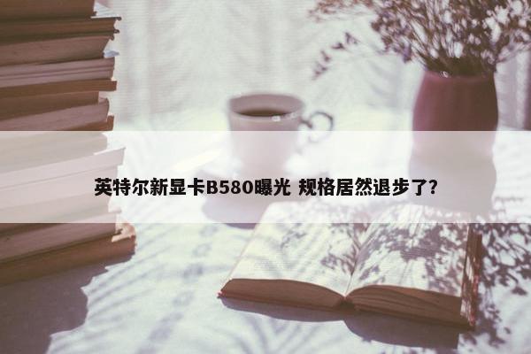 英特尔新显卡B580曝光 规格居然退步了？