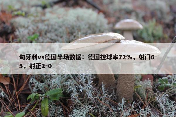 匈牙利vs德国半场数据：德国控球率72%，射门6-5，射正2-0