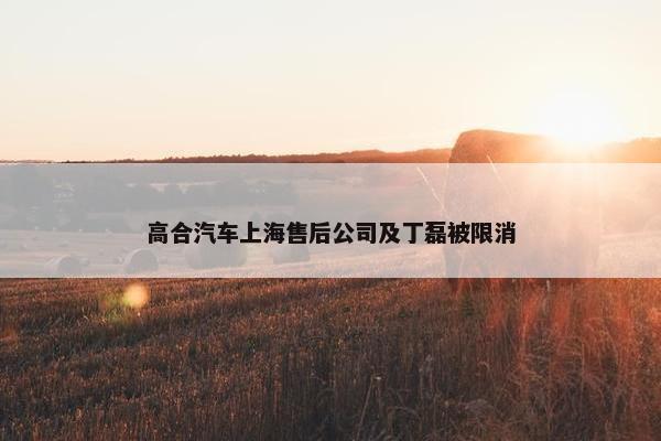 高合汽车上海售后公司及丁磊被限消