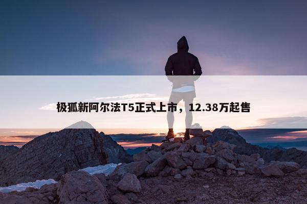 极狐新阿尔法T5正式上市，12.38万起售