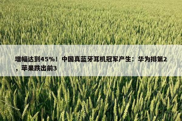 增幅达到45%！中国真蓝牙耳机冠军产生：华为排第2，苹果跌出前3