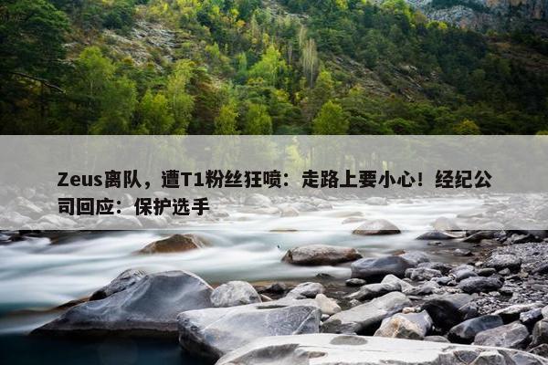 Zeus离队，遭T1粉丝狂喷：走路上要小心！经纪公司回应：保护选手