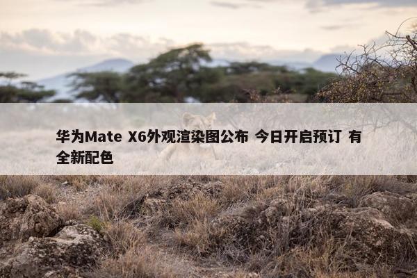 华为Mate X6外观渲染图公布 今日开启预订 有全新配色