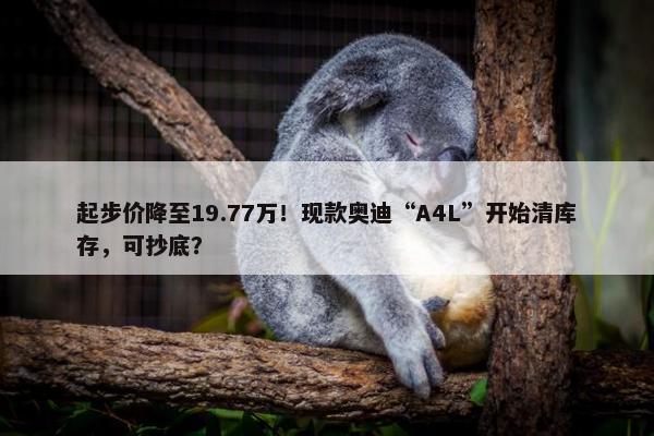 起步价降至19.77万！现款奥迪“A4L”开始清库存，可抄底？