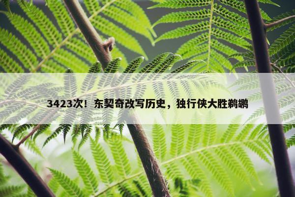 3423次！东契奇改写历史，独行侠大胜鹈鹕