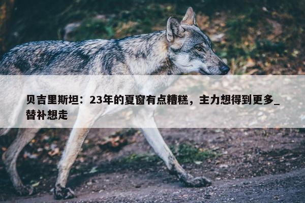 贝吉里斯坦：23年的夏窗有点糟糕，主力想得到更多_替补想走