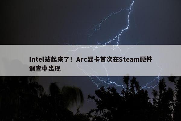 Intel站起来了！Arc显卡首次在Steam硬件调查中出现