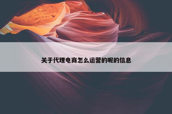 关于代理电商怎么运营的呢的信息