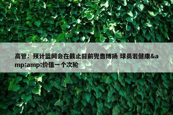 高管：预计篮网会在截止日前兜售博扬 球员若健康&amp;价值一个次轮