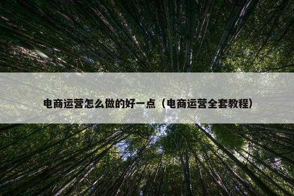 电商运营怎么做的好一点（电商运营全套教程）