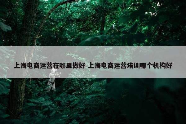 上海电商运营在哪里做好 上海电商运营培训哪个机构好