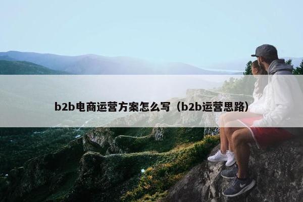 b2b电商运营方案怎么写（b2b运营思路）