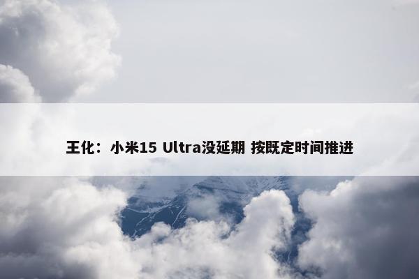 王化：小米15 Ultra没延期 按既定时间推进