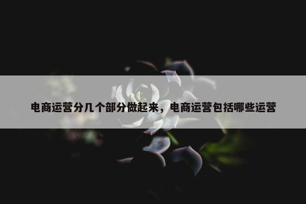 电商运营分几个部分做起来，电商运营包括哪些运营