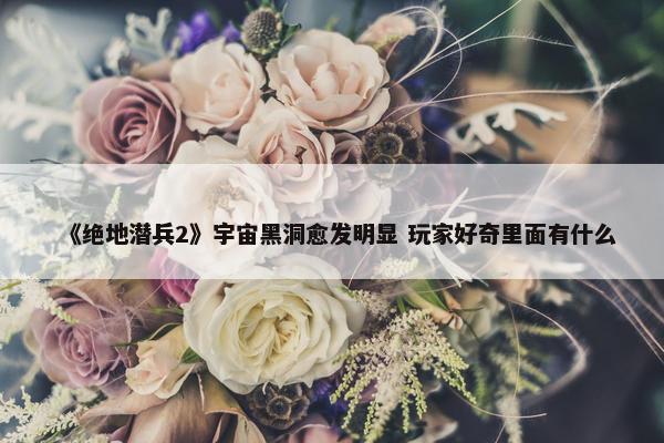 《绝地潜兵2》宇宙黑洞愈发明显 玩家好奇里面有什么