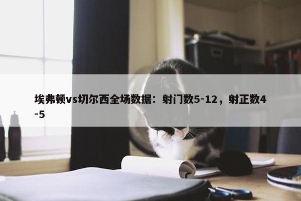 埃弗顿vs切尔西全场数据：射门数5-12，射正数4-5