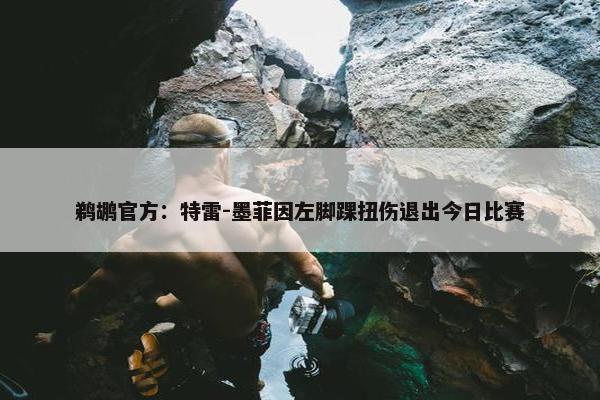 鹈鹕官方：特雷-墨菲因左脚踝扭伤退出今日比赛