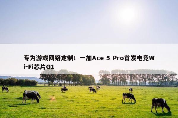 专为游戏网络定制！一加Ace 5 Pro首发电竞Wi-Fi芯片G1