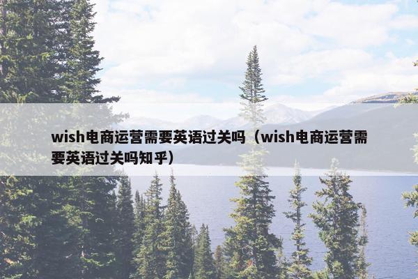 wish电商运营需要英语过关吗（wish电商运营需要英语过关吗知乎）