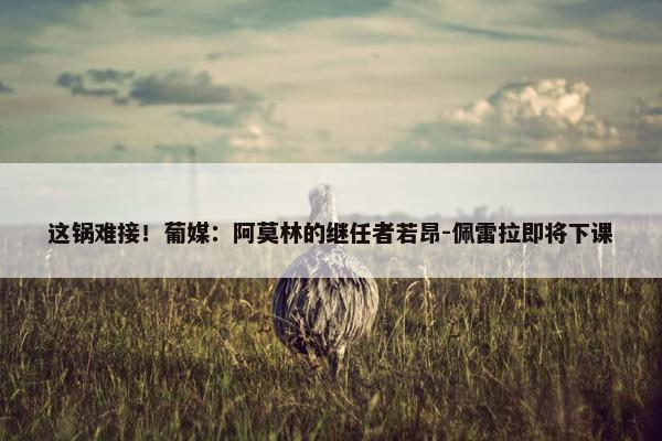 这锅难接！葡媒：阿莫林的继任者若昂-佩雷拉即将下课