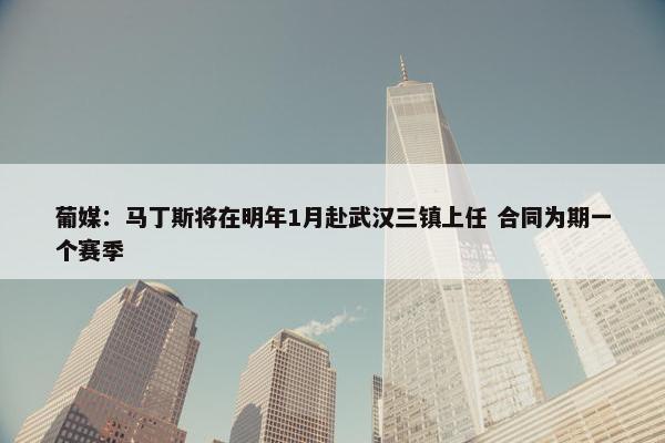 葡媒：马丁斯将在明年1月赴武汉三镇上任 合同为期一个赛季