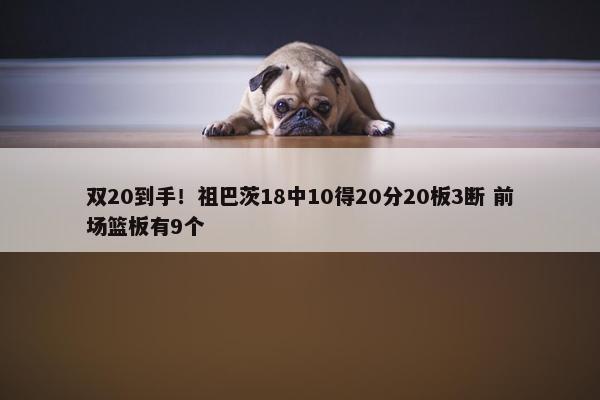 双20到手！祖巴茨18中10得20分20板3断 前场篮板有9个