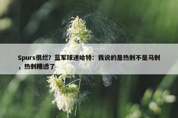 Spurs很烂？蓝军球迷哈特：我说的是热刺不是马刺，热刺糟透了