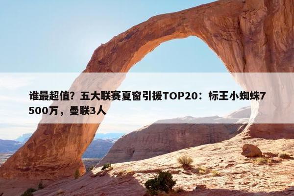 谁最超值？五大联赛夏窗引援TOP20：标王小蜘蛛7500万，曼联3人