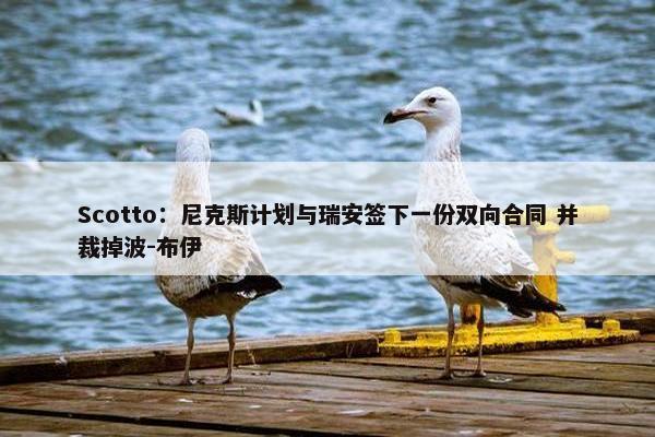 Scotto：尼克斯计划与瑞安签下一份双向合同 并裁掉波-布伊