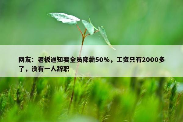 网友：老板通知要全员降薪50%，工资只有2000多了，没有一人辞职