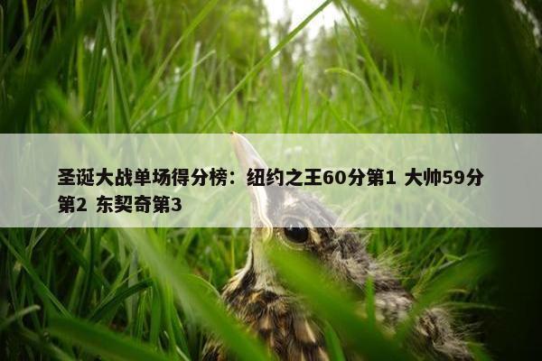 圣诞大战单场得分榜：纽约之王60分第1 大帅59分第2 东契奇第3