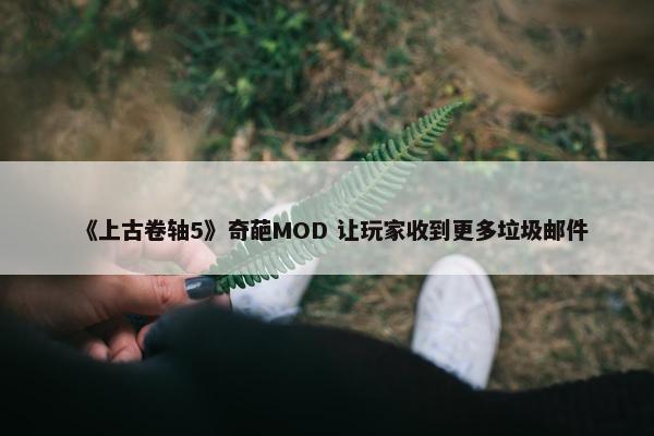 《上古卷轴5》奇葩MOD 让玩家收到更多垃圾邮件