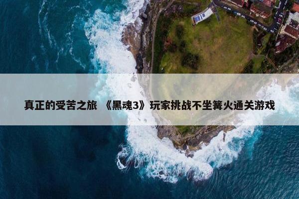 真正的受苦之旅 《黑魂3》玩家挑战不坐篝火通关游戏