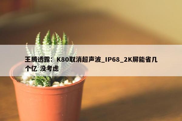 王腾透露：K80取消超声波_IP68_2K屏能省几个亿 没考虑