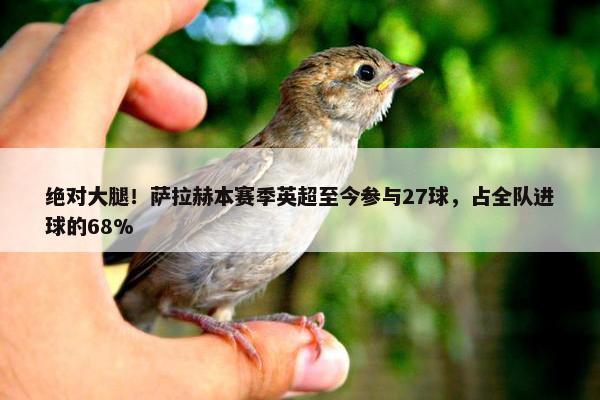 绝对大腿！萨拉赫本赛季英超至今参与27球，占全队进球的68%