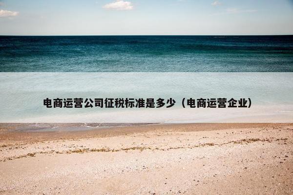 电商运营公司征税标准是多少（电商运营企业）