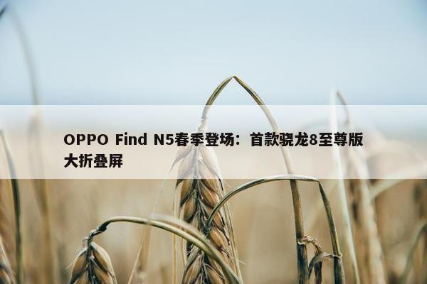 OPPO Find N5春季登场：首款骁龙8至尊版大折叠屏