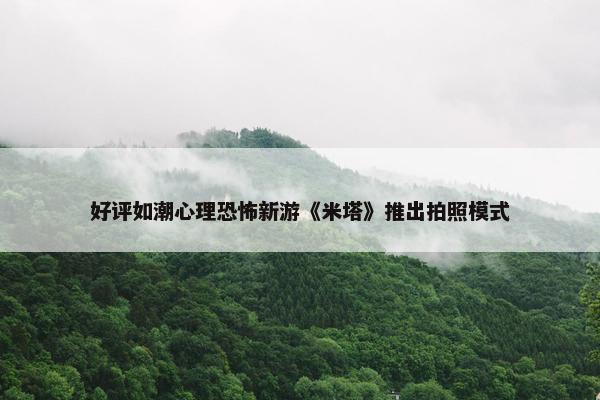 好评如潮心理恐怖新游《米塔》推出拍照模式