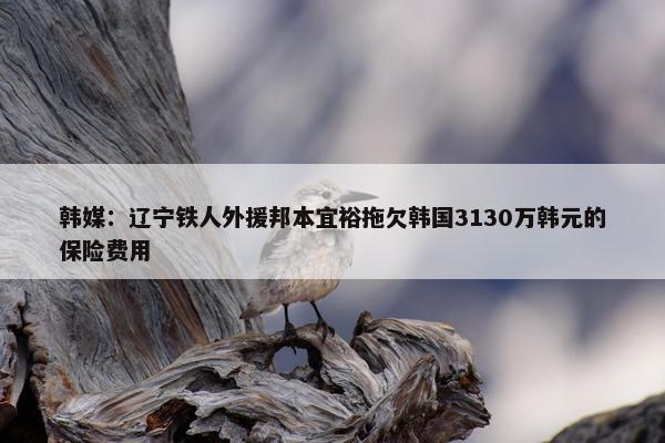 韩媒：辽宁铁人外援邦本宜裕拖欠韩国3130万韩元的保险费用