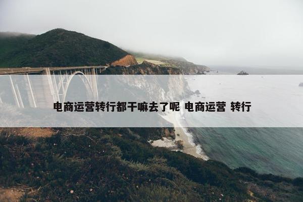 电商运营转行都干嘛去了呢 电商运营 转行