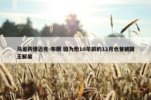 马龙共情迈克-布朗 因为他10年前的12月也曾被国王解雇