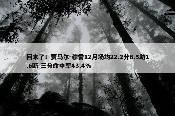 回来了！贾马尔-穆雷12月场均22.2分6.5助1.6断 三分命中率43.4%