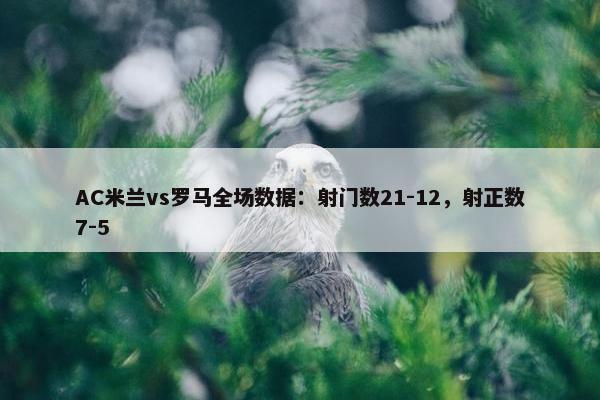 AC米兰vs罗马全场数据：射门数21-12，射正数7-5