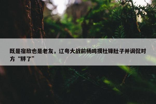 既是宿敌也是老友，辽粤大战前杨鸣摸杜锋肚子并调侃对方“胖了”