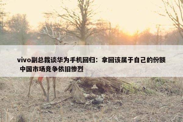 vivo副总裁谈华为手机回归：拿回该属于自己的份额 中国市场竞争依旧惨烈