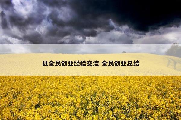 县全民创业经验交流 全民创业总结