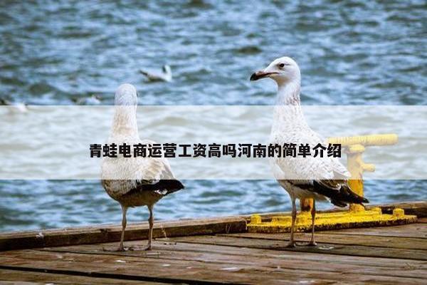 青蛙电商运营工资高吗河南的简单介绍